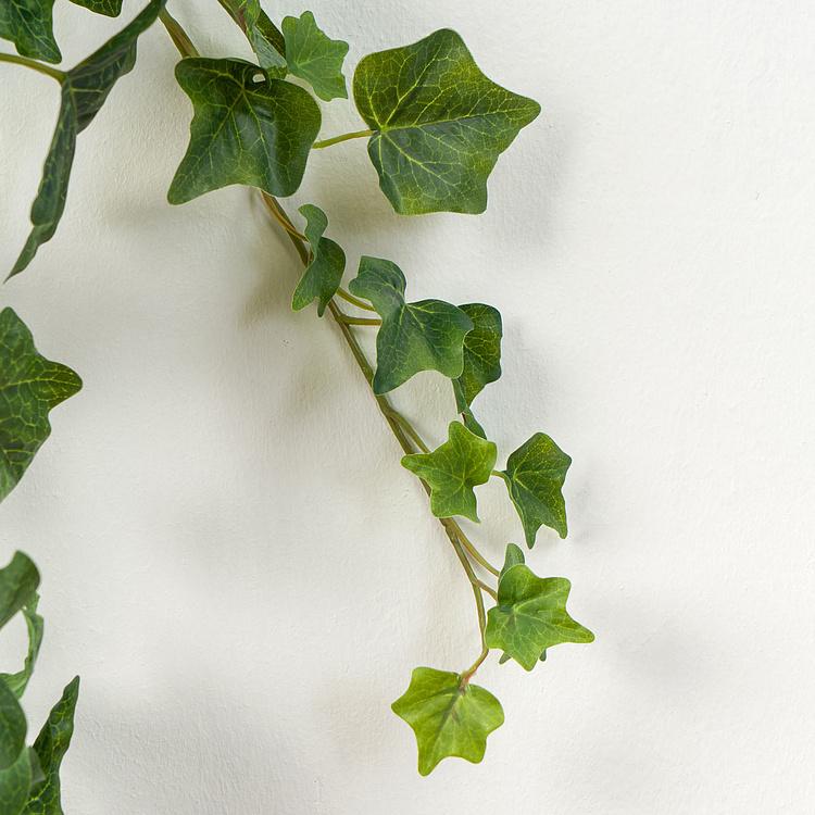 Искусственный английский крупнолистный плющ Биг Олд Темпл зелёный, L Big Old Temple Large Leaved Green English Ivy 170 cm