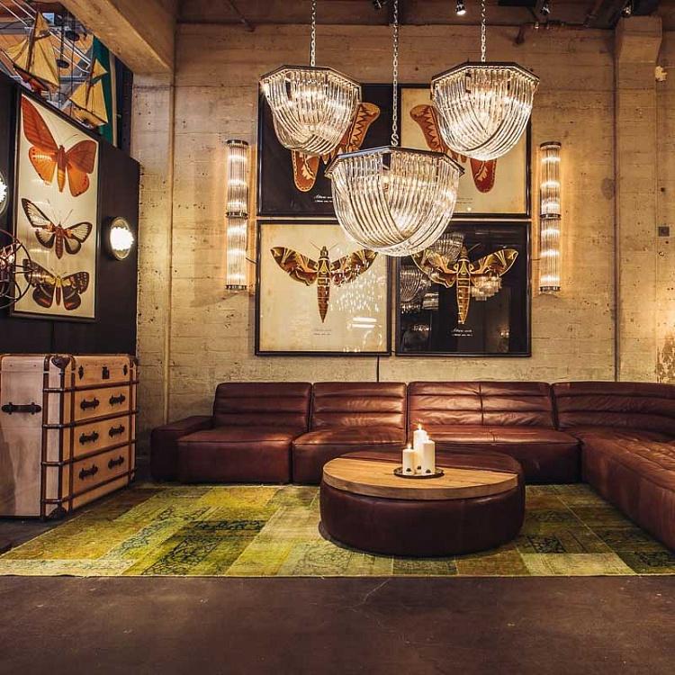 Картина-принт Коричневая Моль, чёрный фон Entomology Brown Flat Moth