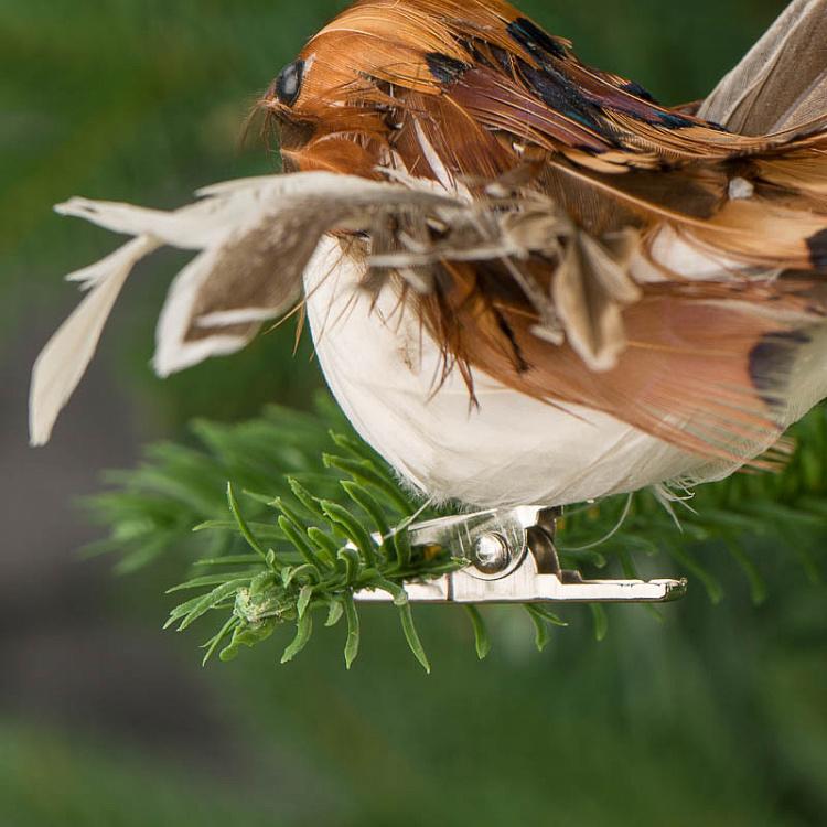 Набор из двух ёлочных игрушек на прищепке Пернатые птицы Set Of 2 Feather Birds On Clip Brown 11 cm