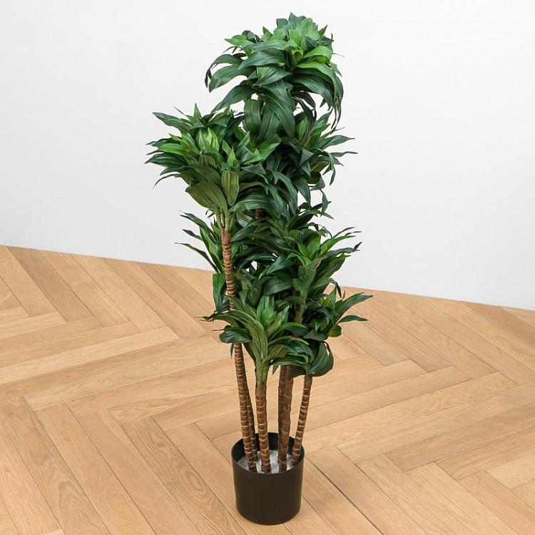 Искусственная драцена Компакта Dracaena Compacta 120 cm