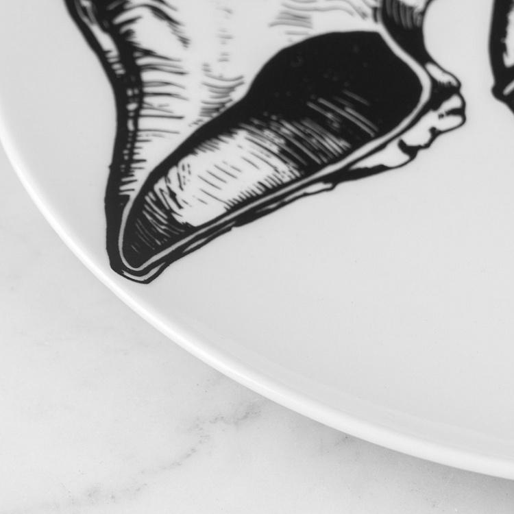 Тарелка Тритон Newt Plate