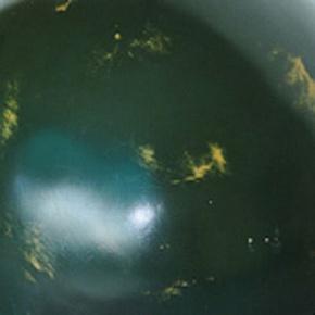 стекловолокно Duck Fiberglass