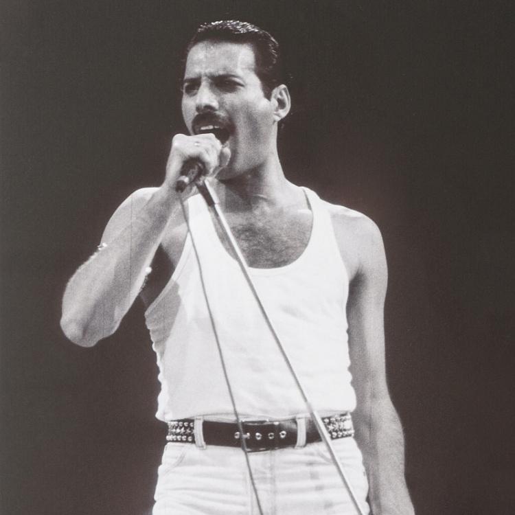 Фото-принт в раме Фредди Меркури Cadre Freddie Mercury