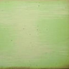 тополь Vert Amande