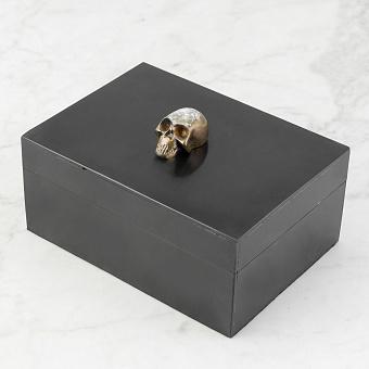 Skull On Lid Box