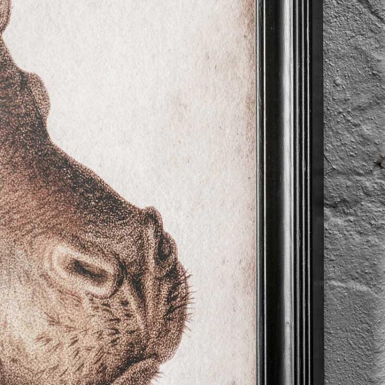 Картина-принт триптих Гиппопотам Set Of 3 Nature Hippo