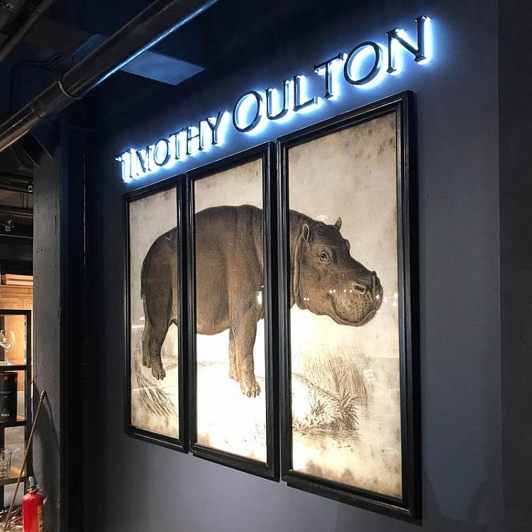 Картина-принт триптих Гиппопотам Set Of 3 Nature Hippo