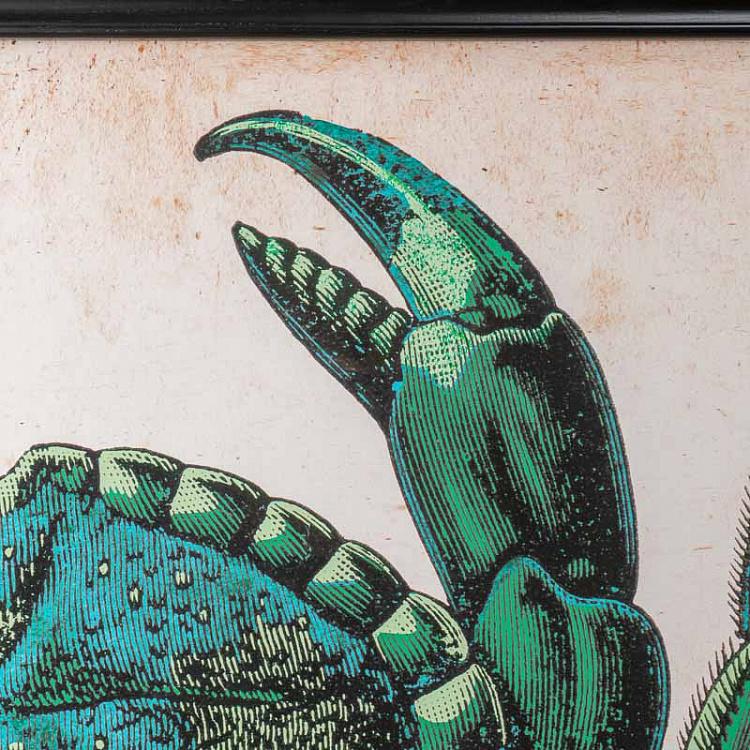 Картина-принт диптих Краб Set Of 2 Crab