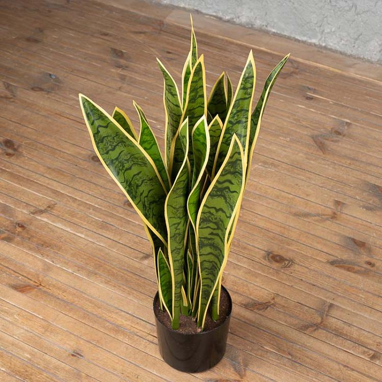 Искусственный куст сансевиерии Sansevieria Bush 80 cm