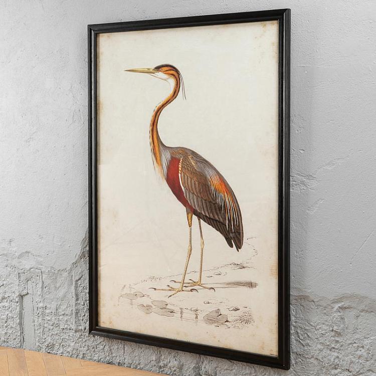 Картина-принт Цапля Nature Heron