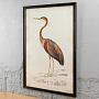 Картина-принт Nature Heron