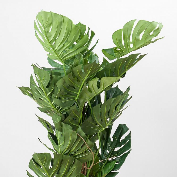 Искусственная монстера на стволе Monstera Tree Trunk 150 cm