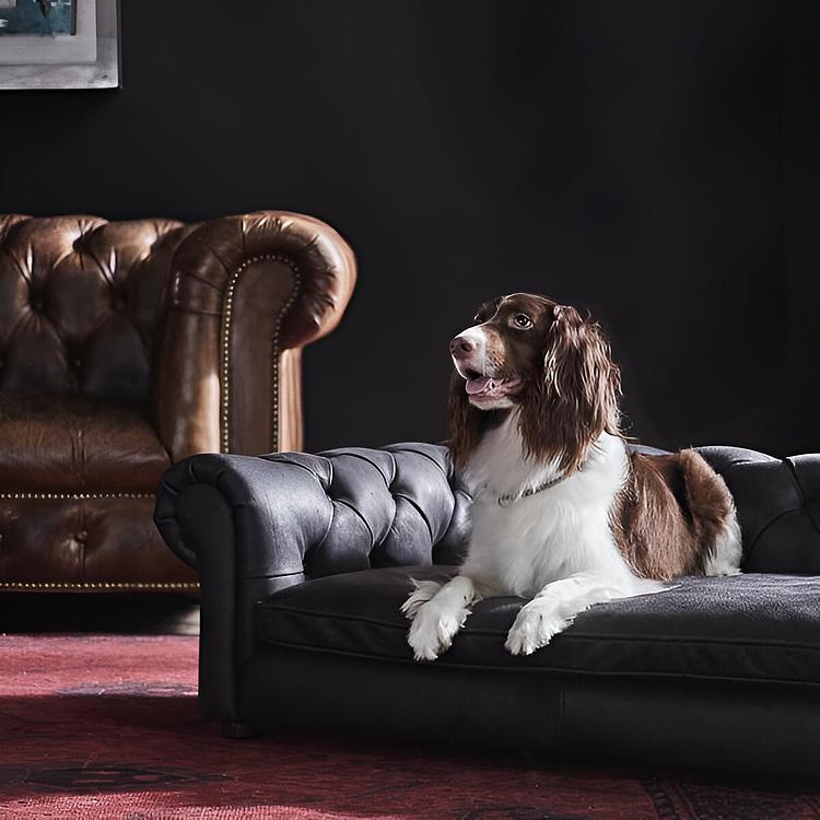 Диван для собак/кошек Вестминстер Westminster Dog Bed