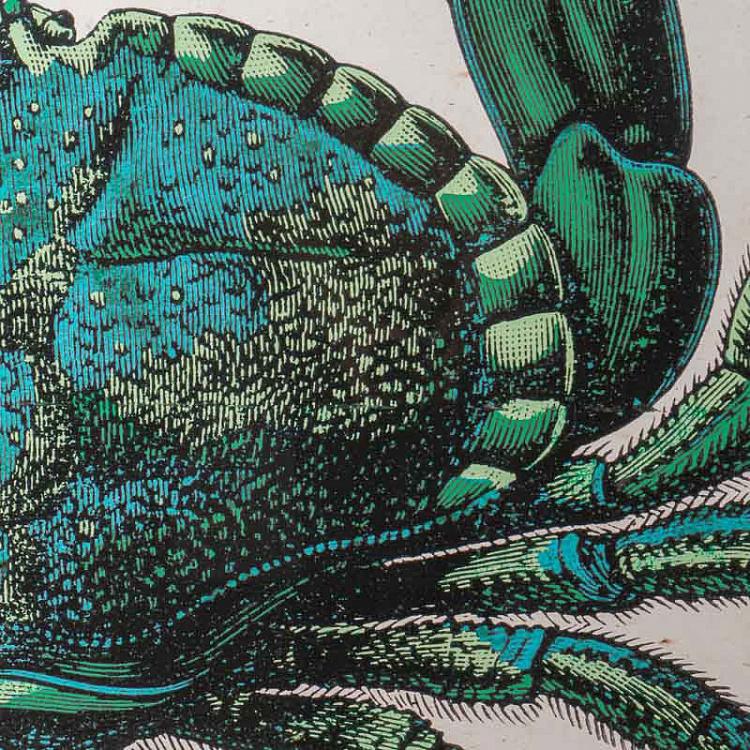 Картина-принт диптих Краб Set Of 2 Crab