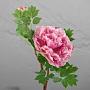Искусственный цветок Peony Branch Pale Pink 35 cm