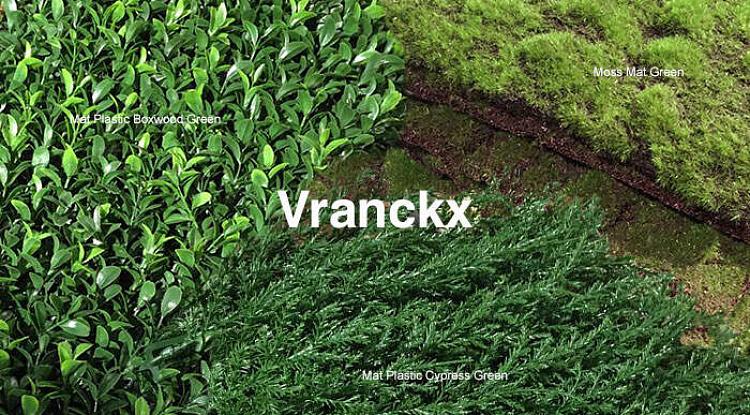 Большое поступление вечнозелёного