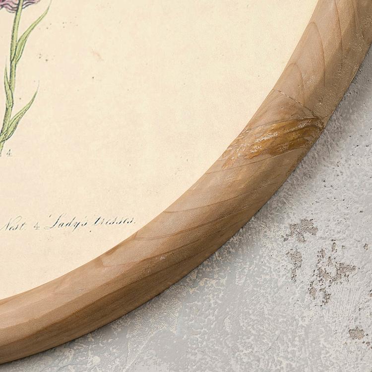 Набор из четырёх картин Флора Set Of 4 Round Frame Prints Flora