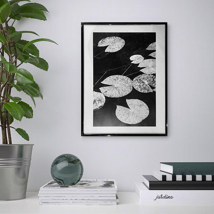 Фотография в рамке Ботаника 4 Botany 4 Photo