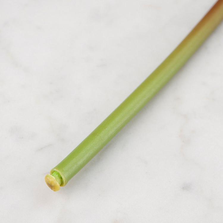 Искусственная роза Дэвид Остин кремово-розовая с лаймовым David Austin Rose Creamy Pink With Lime 50 cm