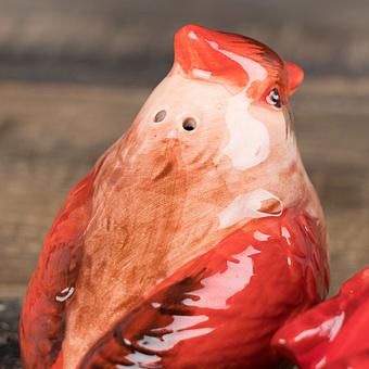 Набор для специй Red Birds Salt And Pepper