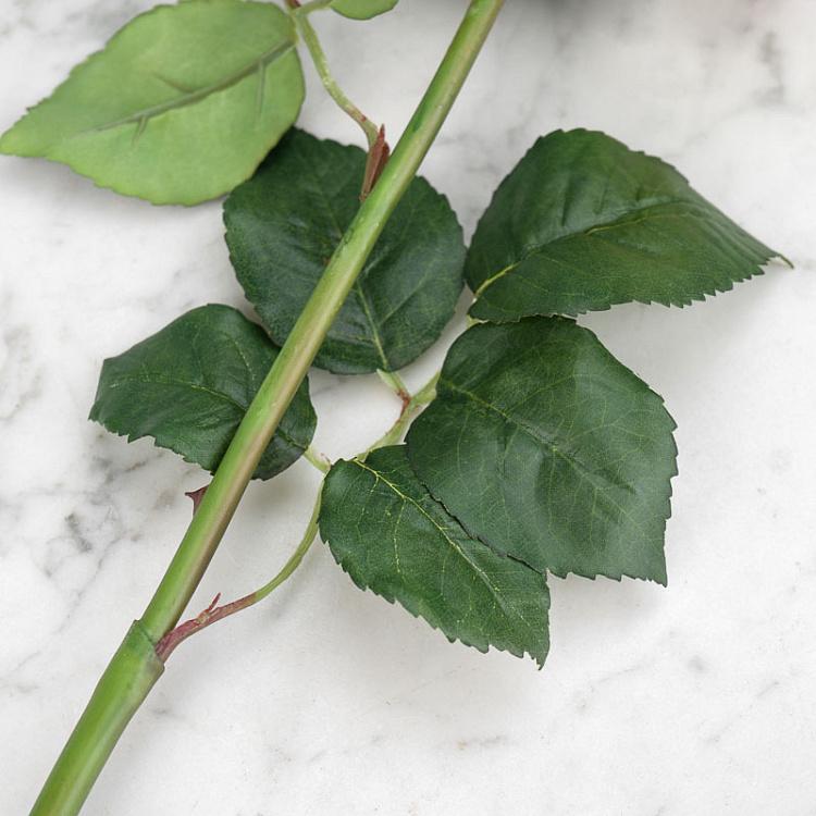 Искусственная роза Джема розово-лаймовая Gemma Rose Pink With Light Lime 56 cm