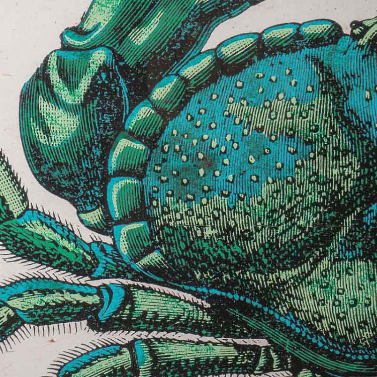 Картина-принт диптих Краб Set Of 2 Crab