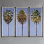 Фото-принт триптих Set Of 3 Tall Palms, Pewter Frame