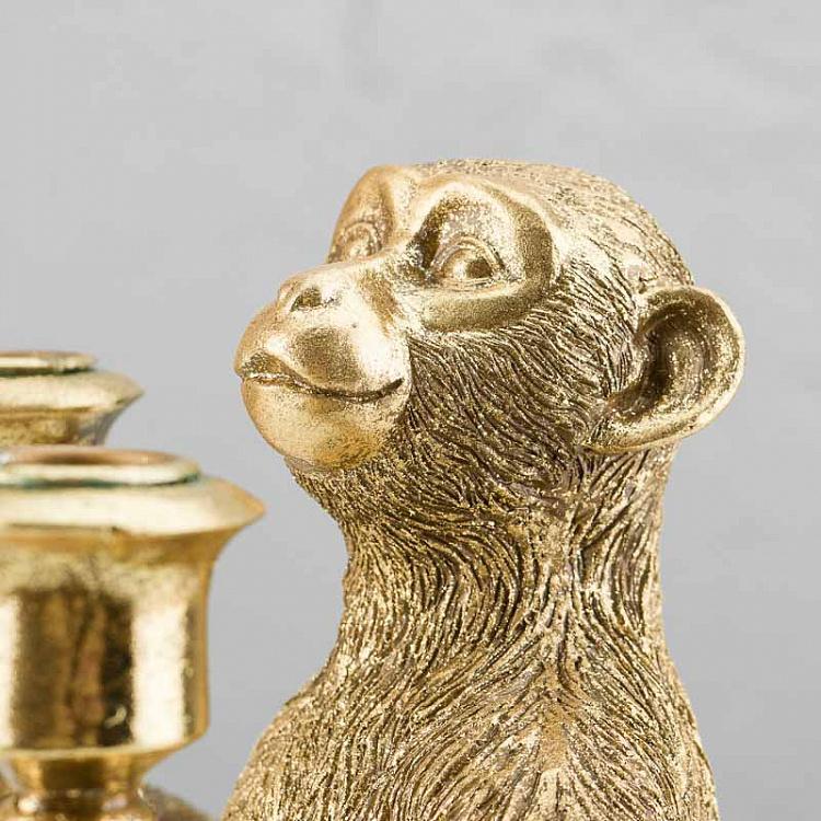 Золотой подсвечник Обезьяна Monkey Candle Holder Gold