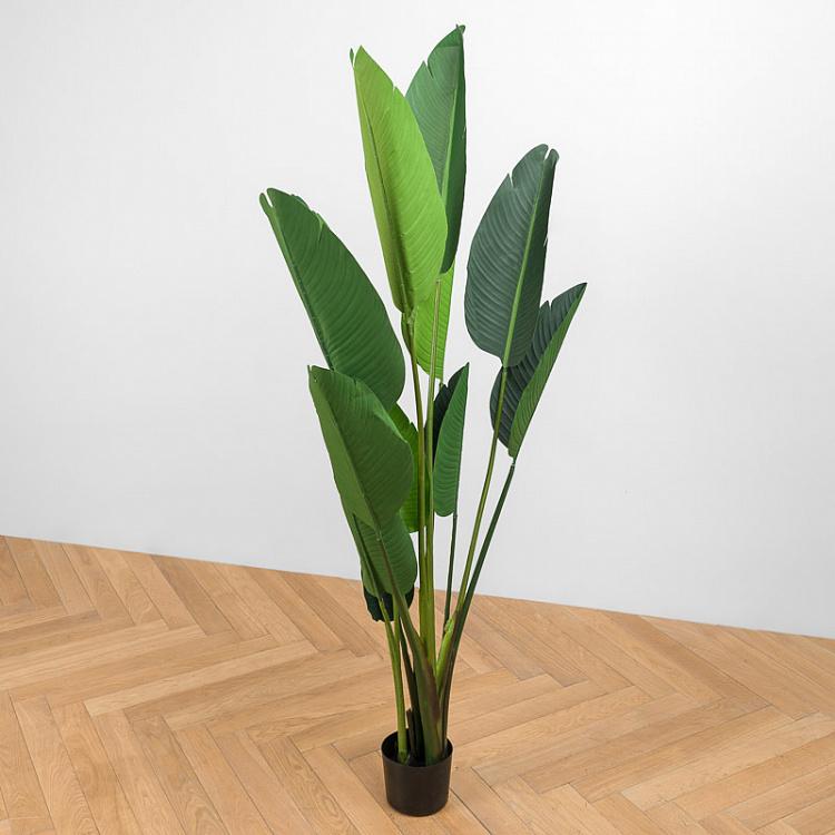Искусственная стрелиция Стиль, L Style Strelitzia 180 cm