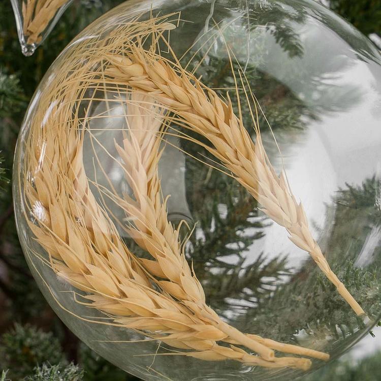 Набор из трёх ёлочных игрушек с колосьями внутри Set Of 3 Glass Dried Ear Of Corn Ball Clear 10 cm