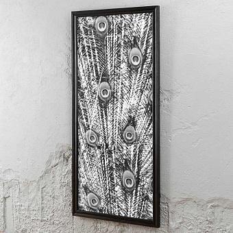 Animal Peacock Black White 2 Middle