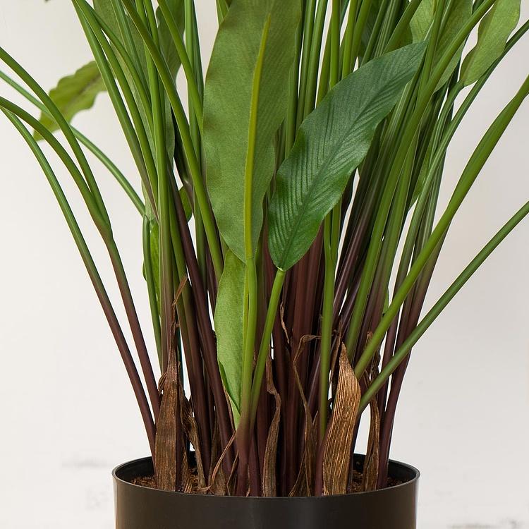 Искусственная калатея Kalatea 75 cm