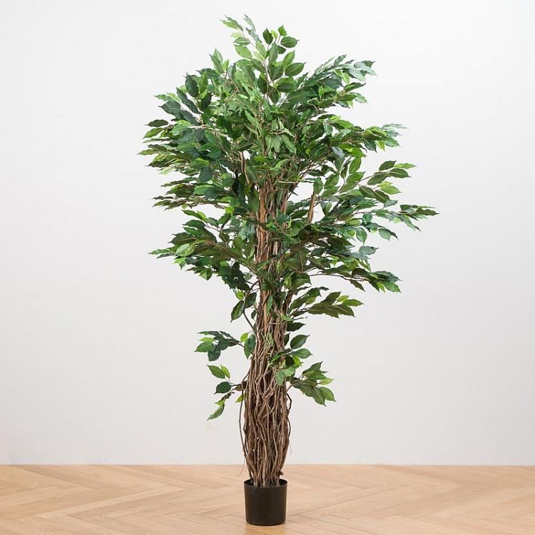 Искусственный фикус Лиана Де люкс, M De Luxe Ficus Liana 210 cm