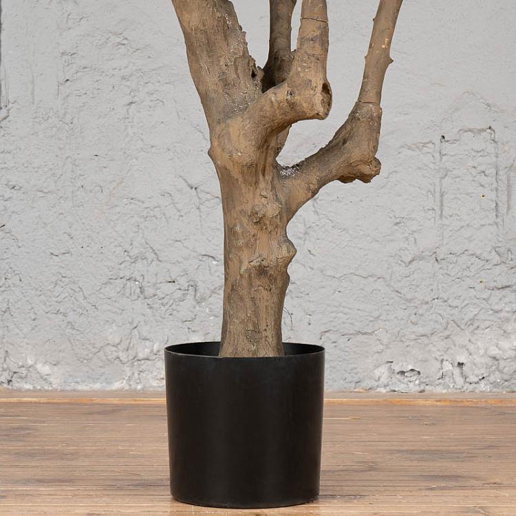 Искусственная олива Джи-Форест с плодами G-Forest Olive With Fruits 210 cm