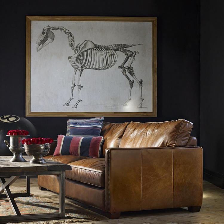 Картина-принт Скелет Лошади Animal Horse Skeleton