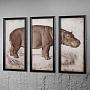 Картина-принт триптих Set Of 3 Nature Hippo