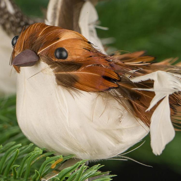 Набор из двух ёлочных игрушек на прищепке Пернатые птицы Set Of 2 Feather Birds On Clip Brown 11 cm