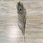 Винтажное перо павлина Vintage Peacock Feather Small
