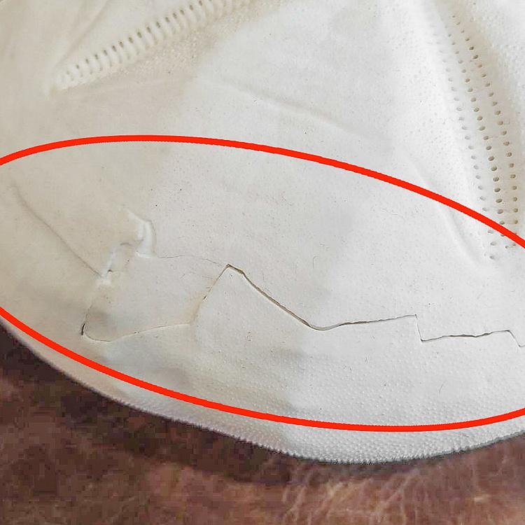 Панцирь Морского ежа дисконт Test D'Oursin Metalia discount4