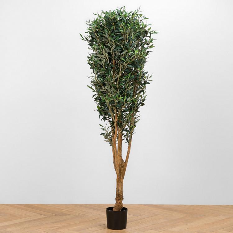 Искусственная олива Форест с плодами Forest Olive With Fruits 170 cm