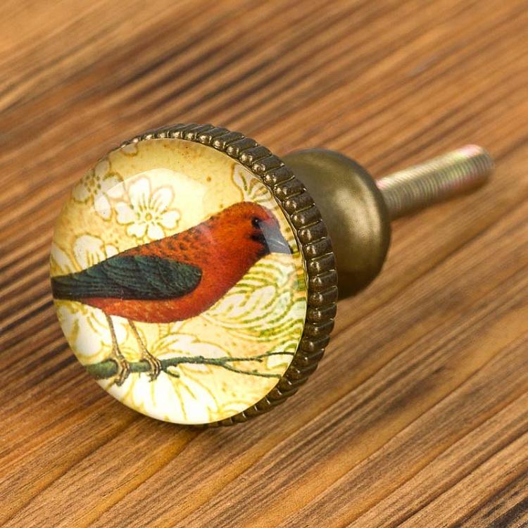 Набор из четырёх мебельных ручек Птицы 1, бронзовые Set Of 4 Handles Birds 1 Bronze