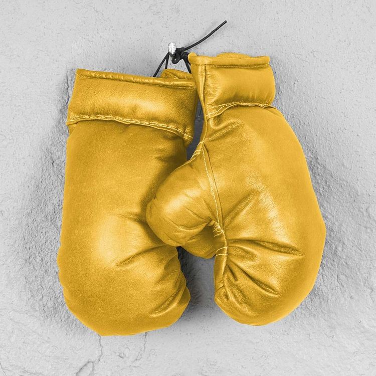 Декоративные кожаные боксёрские перчатки в винтажном стиле Boxing Gloves RM