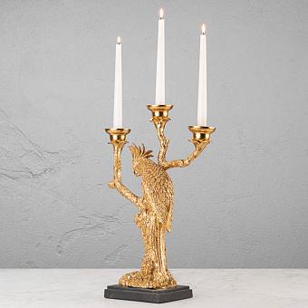 Golden Candle Holder Parrot On Branch