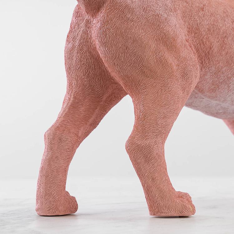 Статуэтка Собака Чарли в ошейнике Dog Charlie With Collar Pink