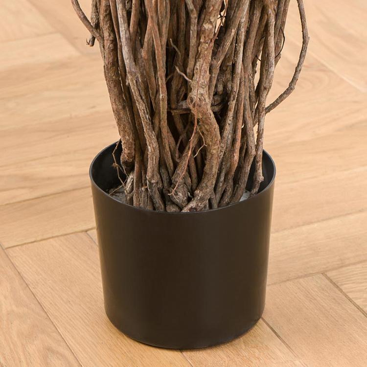 Искусственный фикус Лиана Де люкс, M De Luxe Ficus Liana 210 cm