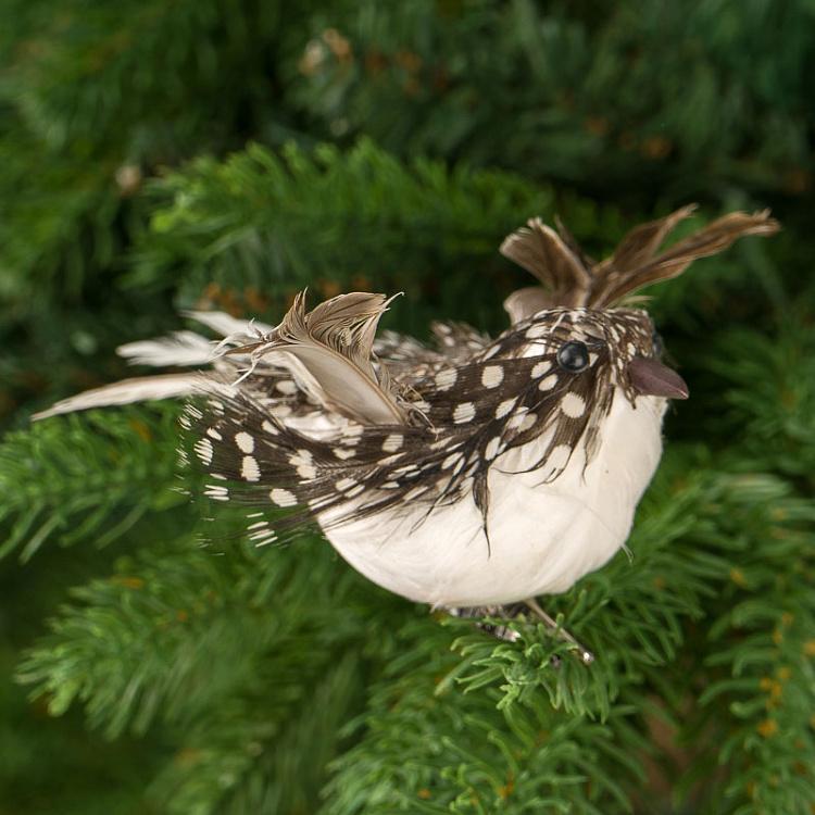 Набор из двух ёлочных игрушек на прищепке Пернатые птицы Set Of 2 Feather Birds On Clip Brown 11 cm