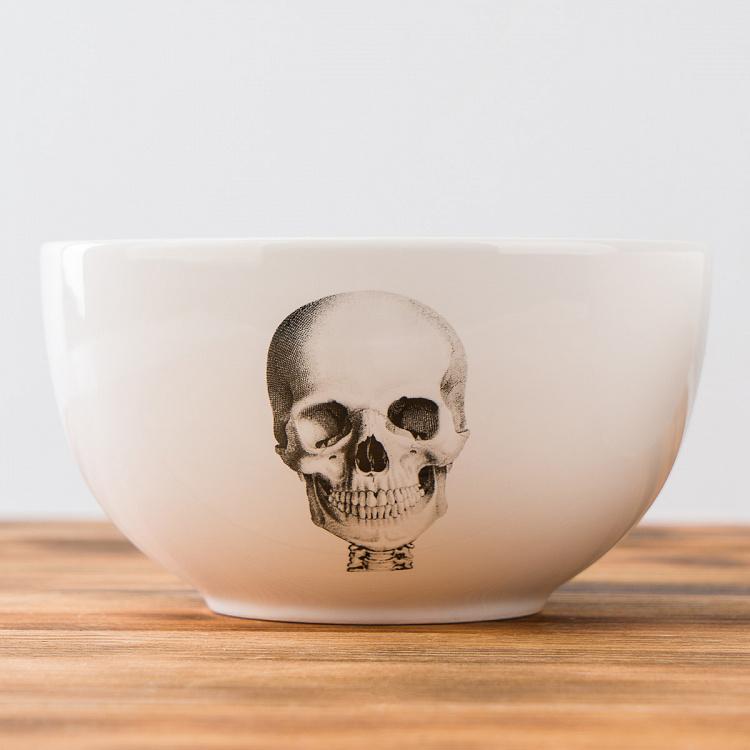 Набор из трёх пиал Естественные науки Set Of 3 Bowls Natural Sciences