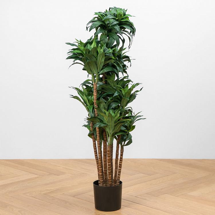 Искусственная драцена Компакта Dracaena Compacta 120 cm
