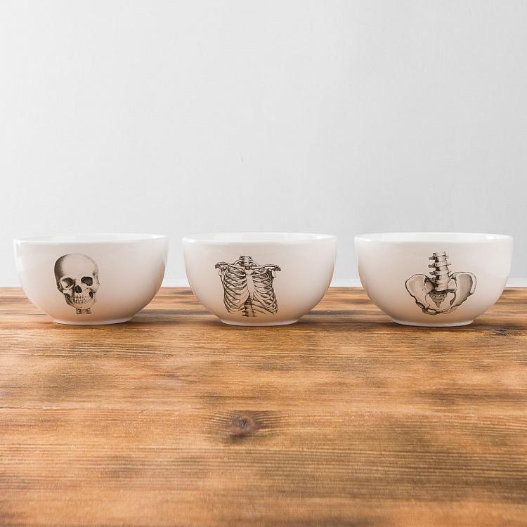 Набор из трёх пиал Естественные науки Set Of 3 Bowls Natural Sciences