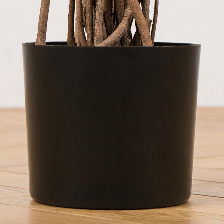 Искусственный фикус Бенджамина Селеста, L Celeste Ficus Benjamina 180 cm